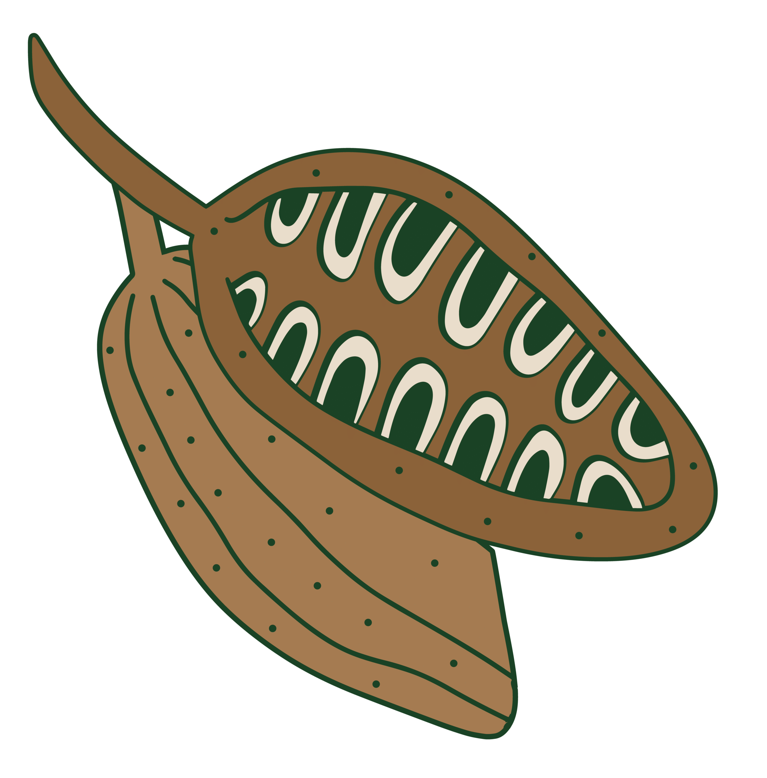 tesa piezas digitales cacao