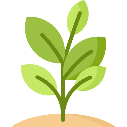 planta